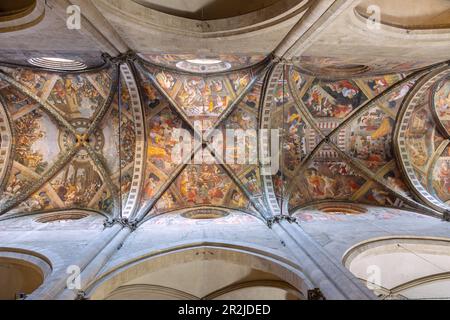 Arezzo Duomo San Donato Interior frescoed ceiling Stock Photo