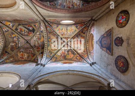 Arezzo Duomo San Donato Interior frescoed ceiling Stock Photo