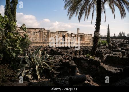 Remains of the Limestone Synagogue, Capernaum on the Sea of Galilee ...