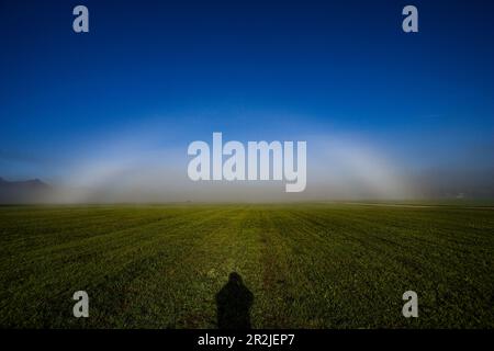Fog bow, white rainbow in front of a wall of fog in an open field Stock Photo