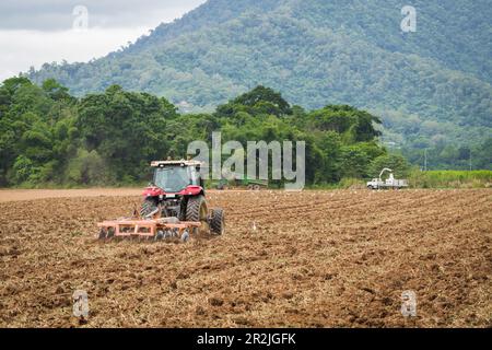 A red farm tractor pulling a rotary disc plough travels diagonally across a ploughed paddock surrounded by egrets in Redlynch, Cairns in Australia. Stock Photo