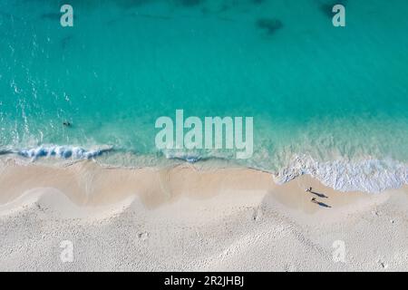 Aerial view of two people walking along the waterfront at insanely beautiful Eagle Beach, Eagle Beach, Aruba, Dutch Caribbean, Caribbean Stock Photo