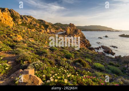 Coast at Spiaggia di Cala li Cossi, Costa Paradiso, Sardinia, Italy Stock Photo