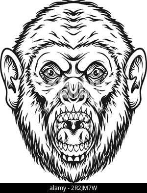 Scary roar gorilla head face angry king jungle logo illustrations monochrome vector illustrations for your work logo, merchandise t-shirt, stickers Stock Vector