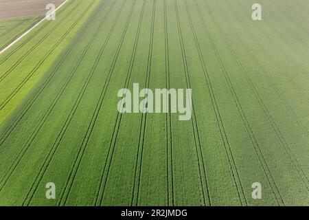agricultural tractor tracks on field near Aalen, Baden-Württemberg, Germany, aerial view Stock Photo