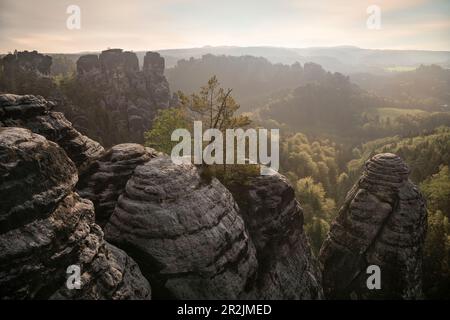 View from Felsenburg Neurathen, Saxon Switzerland, Elbe Sandstone Mountains, Saxony, Elbe, Germany Stock Photo