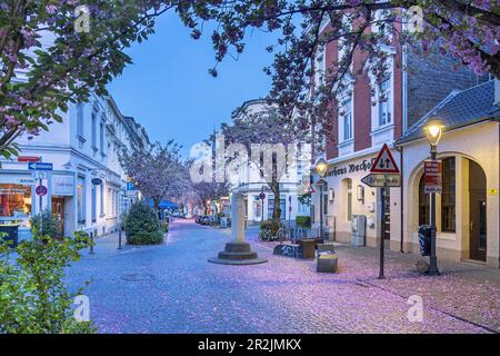 Bonn, North Rhine-Westphalia, Germany Stock Photo