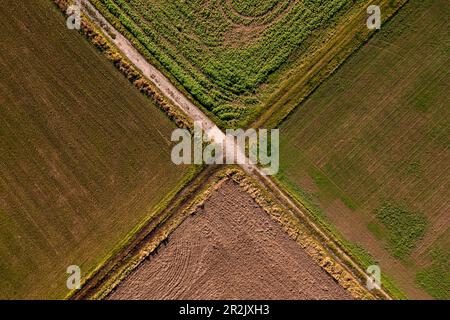 A paved path and a dirt road separate fields with an intersection ...