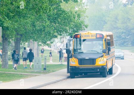 Calgary, Alberta, Canada. May 18, 2023. A School bus picking up students during a smoky and hazy day during the wildfires of Alberta. Stock Photo