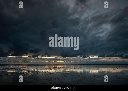 Sunset at the Wadden Sea under rain clouds at the North Sea, Schillig, Wangerland, Friesland, Lower Saxony, Germany, Europe Stock Photo