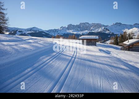 Ski trails on the plateau near Seiser Alm and Ortisei in Gröden aka Val Gardena, Autonomous Province of Bolzano - South Tyrol, Italy Stock Photo