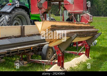 Sawing boards with a machine industry Stock Photo
