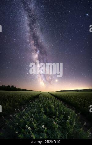 The Milky Way over Thuringia, Germany Stock Photo