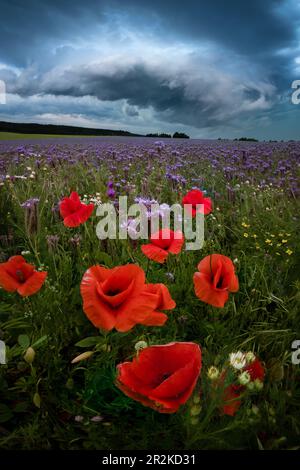 Storm gathering over the fields near Rohr, Thuringia, Germany Stock Photo