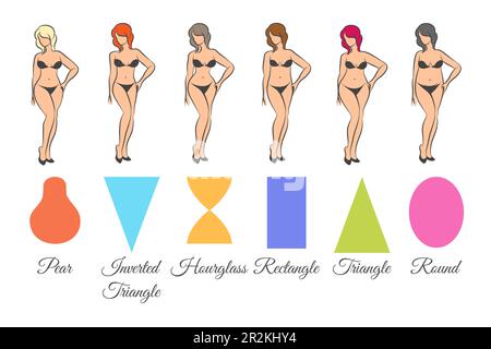 Different body shape types. Diverse women in underwear and bikini portraits  with rectangle, inverted triangle, hourglass, pear and apple figures. Flat  vector illustrations isolated on white background Stock Vector