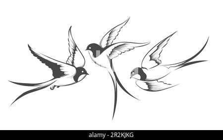 Flying Shallow Vector Tattoo of Flying Swallow Bird isolated on white background. Vector ...