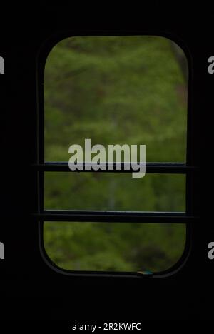 View on green trees in the forest through train window Stock Photo