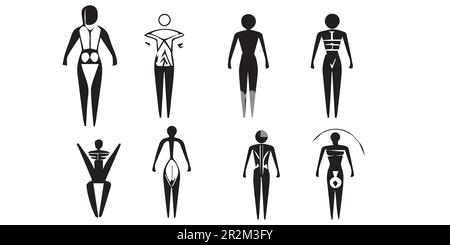 A cartoon of a human figure with different types of human body. Stock Vector