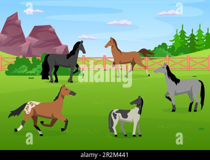 Herd of horses grazing in paddock Stock Vector