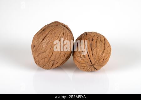 Two shelled walnuts on a white background,closeup Stock Photo