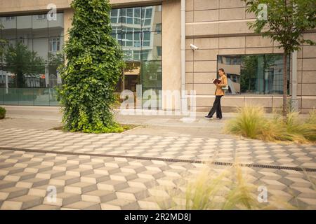 A beautiful businesswoman is waiting for her colleague, in front of the building, on a cloudy day Stock Photo