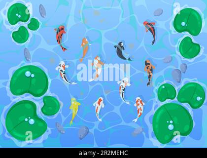 Spotted fish swimming in pond top view. Stock Vector
