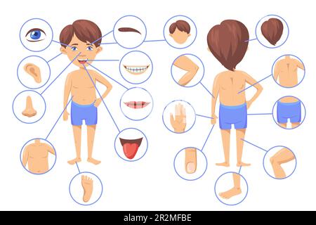 Body parts of little cartoon boy vector illustrations set. Cute kid ...