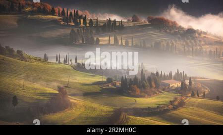 Foggy morning in Tuscany. A farmhouse, a tree-lined road and rolling hills in the countryside near Pienza, province of Siena, Italy. Stock Photo