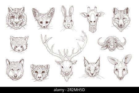 Portraits of different wild animals engraved illustrations set Stock Vector