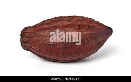 Cocoa pod on a isolated white background Stock Photo