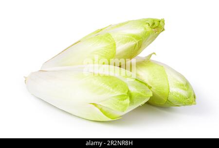 Fresh endive on white background Stock Photo