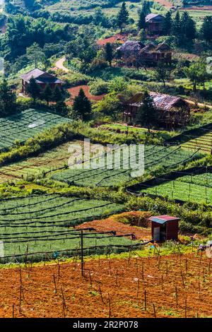 Small scale agriculture in Sapa in Lao Cai Province in northwest Vietnam Stock Photo