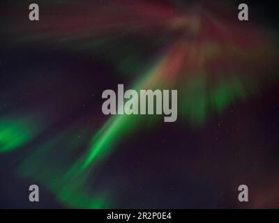 Northern lights, aurora borealis, with the rare red Stock Photo