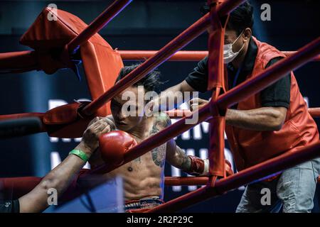 A Muay Thai boxer seen having a break of 2 minutes between rounds, at ...