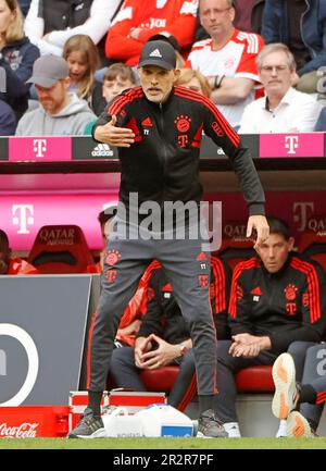 Munich, Germany. 20th May, 2023. Thomas Tuchel, head coach of Bayern Munich, gestures during the German first division Bundesliga football match between Bayern Munich and RB Leipzig in Munich, Germany, May 20, 2023. Credit: Philippe Ruiz/Xinhua/Alamy Live News Stock Photo