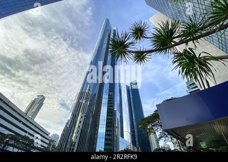 Ayala Triangle Gardens Tower district, Makati avenue, business financial center buildings, Philippines modern skyscrapers, Embassy of France in Manila Stock Photo