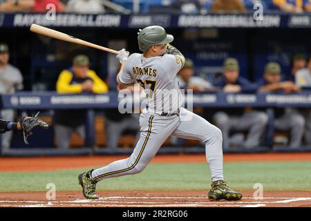 Milwaukee Brewers shortstop Willy Adames (27) shadows Tampa Bay