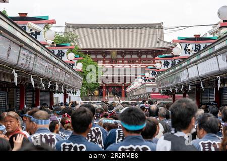 General view, Asakusa Sanja Matsuri is an annual festival which takes place every year on the third weekend of May in the Asakusa district of Tokyo, Japan. This years Sanja Matsuri is held from May 19 to 21, 2023. This festival is known as one of the Three Great Shinto Festivals in Tokyo. Other two Great Shinto Festivals areKandaandSannoMatsuri. Mainly, Sanja Matsuri celebrates the founding of Senso-ji Temple. During the festival, visitors can witness energetic processions, featuring colorful portable shrines called mikoshi, traditional music, and lively performances. Asakusa Sanja Matsuri is Stock Photo