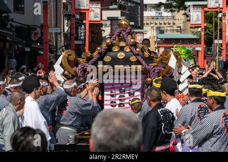 General view, Asakusa Sanja Matsuri is an annual festival which takes place every year on the third weekend of May in the Asakusa district of Tokyo, Japan. This years Sanja Matsuri is held from May 19 to 21, 2023. This festival is known as one of the Three Great Shinto Festivals in Tokyo. Other two Great Shinto Festivals areKandaandSannoMatsuri. Mainly, Sanja Matsuri celebrates the founding of Senso-ji Temple. During the festival, visitors can witness energetic processions, featuring colorful portable shrines called mikoshi, traditional music, and lively performances. Asakusa Sanja Matsuri is Stock Photo