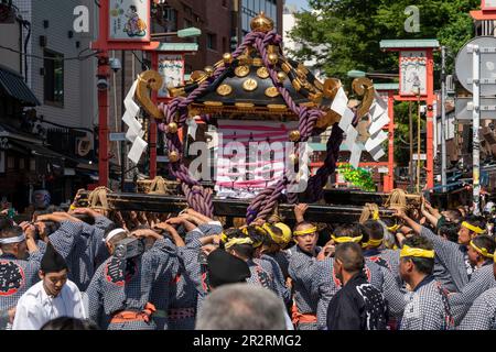 General view, Asakusa Sanja Matsuri is an annual festival which takes place every year on the third weekend of May in the Asakusa district of Tokyo, Japan. This years Sanja Matsuri is held from May 19 to 21, 2023. This festival is known as one of the Three Great Shinto Festivals in Tokyo. Other two Great Shinto Festivals areKandaandSannoMatsuri. Mainly, Sanja Matsuri celebrates the founding of Senso-ji Temple. During the festival, visitors can witness energetic processions, featuring colorful portable shrines called mikoshi, traditional music, and lively performances. Asakusa Sanja Matsuri is Stock Photo