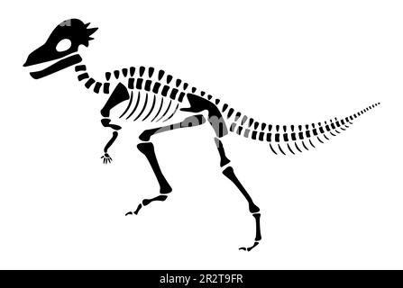 Pachycephalosaurus skeleton . Silhouette dinosaurs . Side view . Vector . Stock Vector