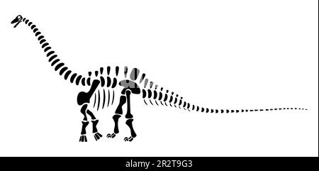 Apatosaurus skeleton . Silhouette dinosaurs . Side view . Vector . Stock Vector