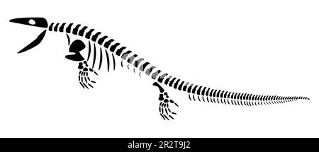 Mosasaurus skeleton . Silhouette aquatic dinosaurs . Side view . Vector . Stock Vector