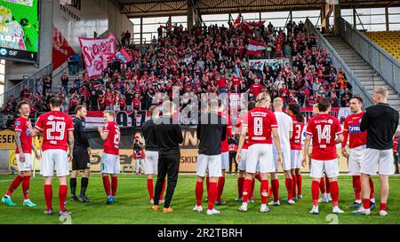 Horsens, Denmark. 19th, May 2023. The players of Silkeborg IF celebrate the victory after the 3F Superliga match between AC Horsens and Silkeborg IF at Nordstern Arena Horsens in Horsens. (Photo credit: Gonzales Photo - Morten Kjaer). Stock Photo