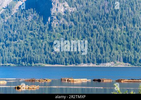 panoramic view of the wood in nearby of Maloia pass close to saint ...