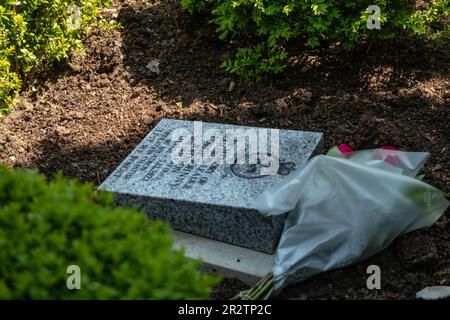 The family of Squadron Leader George ‘Leonard’ Johnny Johnson gather at the Petwood Hotel in Woodhall Spa in Lincolnshire to unveil a memorial stone in his honour  (Photo by Lisa Harding/News Images) Stock Photo