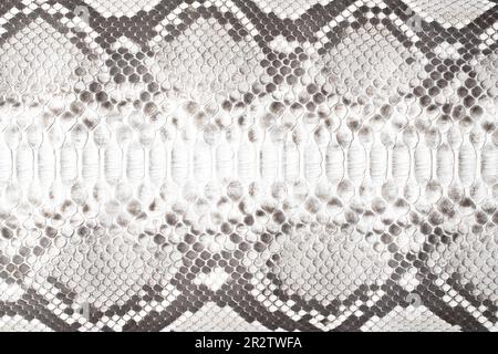 black and white snake skin texture, natural reptile skin background Stock Photo