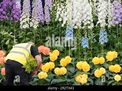 Nick Langdon makes adjustments to begonias and delhiniums in the ...
