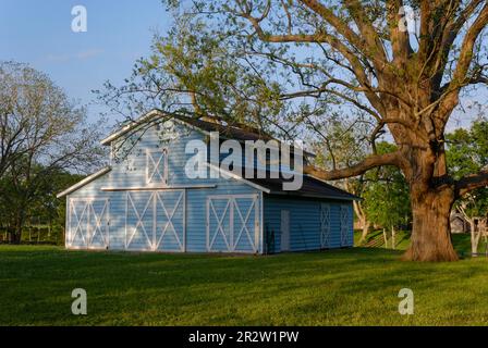 A pale Blue Dutch Style Barn used as a stables and agricultural store in a Paddock of a House in Richmond Texas, Stock Photo