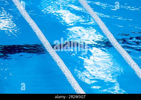 The view of an empty public swimming pool indoors. Lanes of a ...